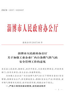 市政府辦公廳 關于加強工業企業廠內自備燃氣供氣站安全管理工作的意見